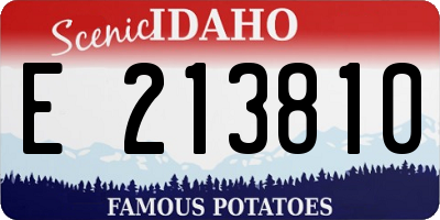 ID license plate E213810