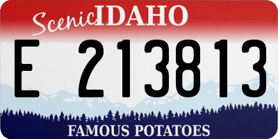 ID license plate E213813