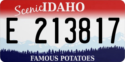 ID license plate E213817