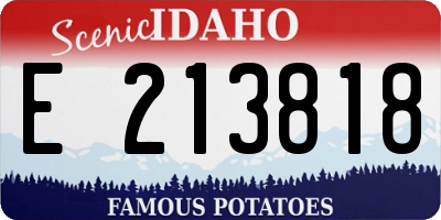ID license plate E213818