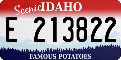 ID license plate E213822