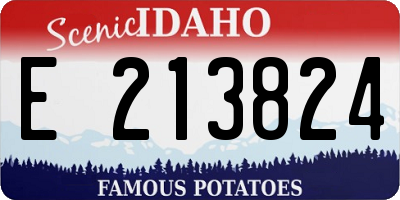 ID license plate E213824