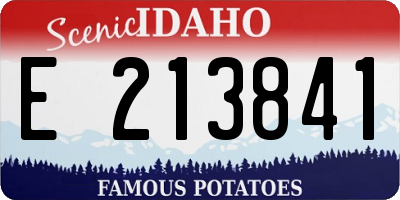 ID license plate E213841