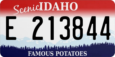 ID license plate E213844