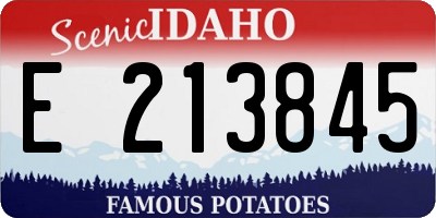 ID license plate E213845