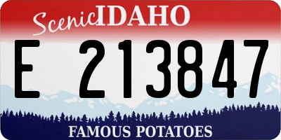 ID license plate E213847