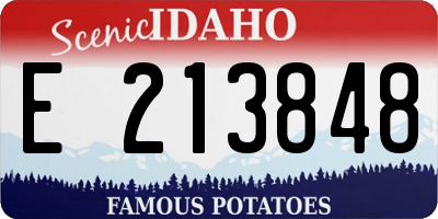 ID license plate E213848