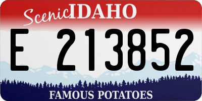 ID license plate E213852
