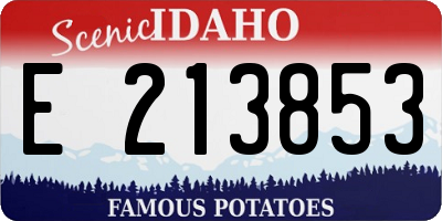 ID license plate E213853