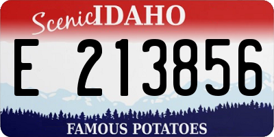 ID license plate E213856