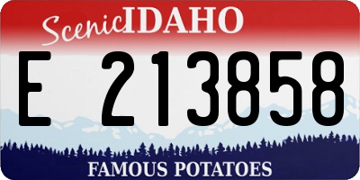 ID license plate E213858
