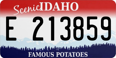 ID license plate E213859
