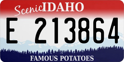ID license plate E213864