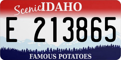 ID license plate E213865