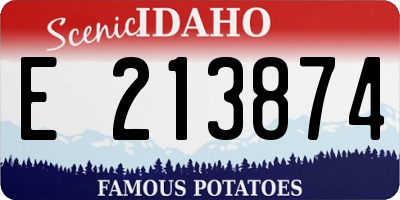 ID license plate E213874