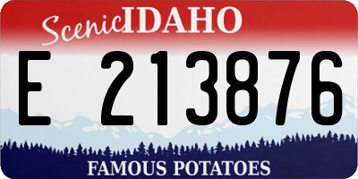 ID license plate E213876
