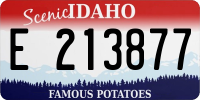 ID license plate E213877