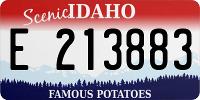 ID license plate E213883