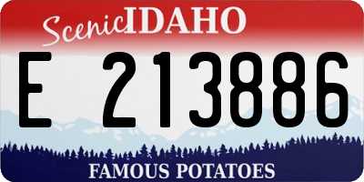 ID license plate E213886