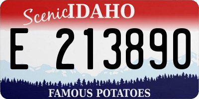 ID license plate E213890