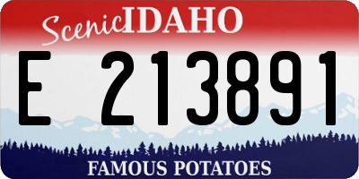 ID license plate E213891