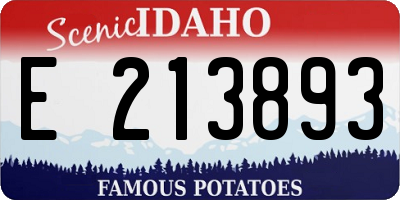 ID license plate E213893