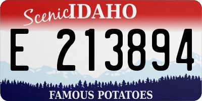 ID license plate E213894