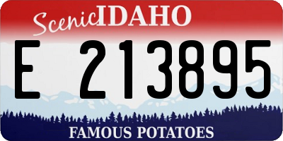 ID license plate E213895