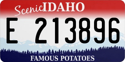 ID license plate E213896