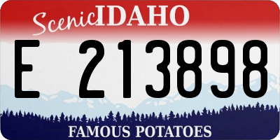ID license plate E213898