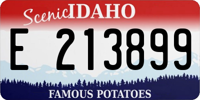 ID license plate E213899