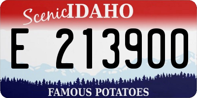 ID license plate E213900