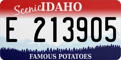 ID license plate E213905
