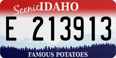 ID license plate E213913