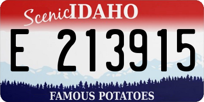 ID license plate E213915