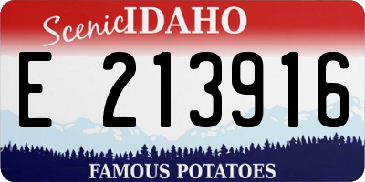 ID license plate E213916