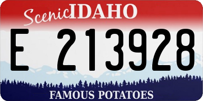 ID license plate E213928