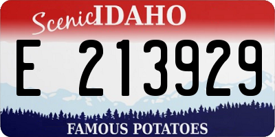 ID license plate E213929