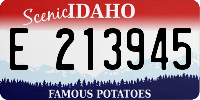 ID license plate E213945