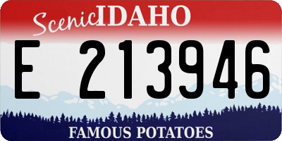 ID license plate E213946