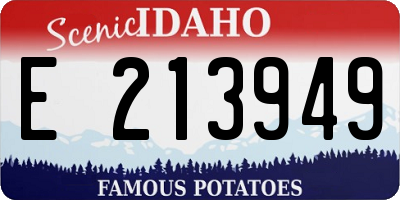 ID license plate E213949