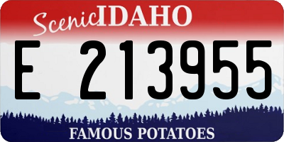 ID license plate E213955
