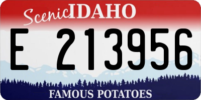 ID license plate E213956