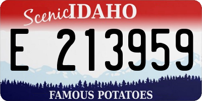 ID license plate E213959