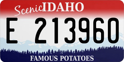 ID license plate E213960