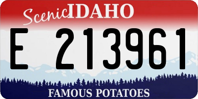 ID license plate E213961