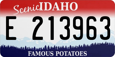 ID license plate E213963