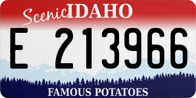 ID license plate E213966