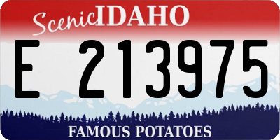 ID license plate E213975