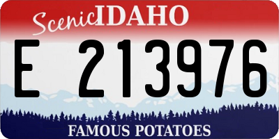 ID license plate E213976